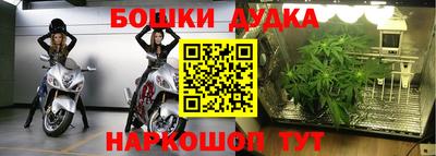 прущие крисы Кандалакша
