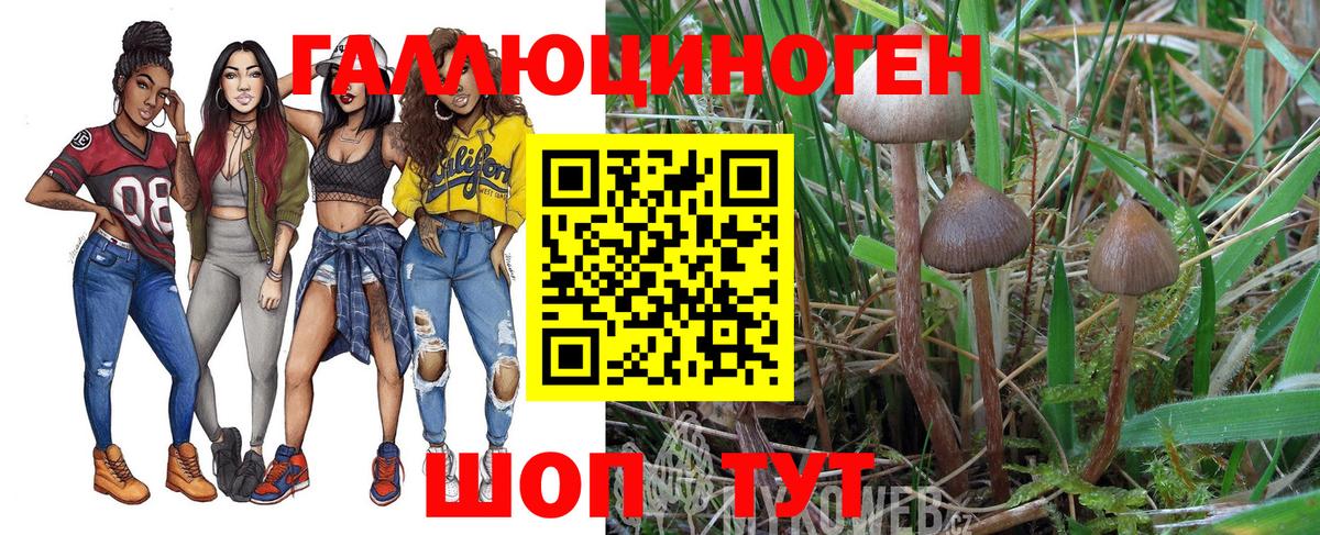 Псилоцибиновые грибы ЛСД Красногорск
