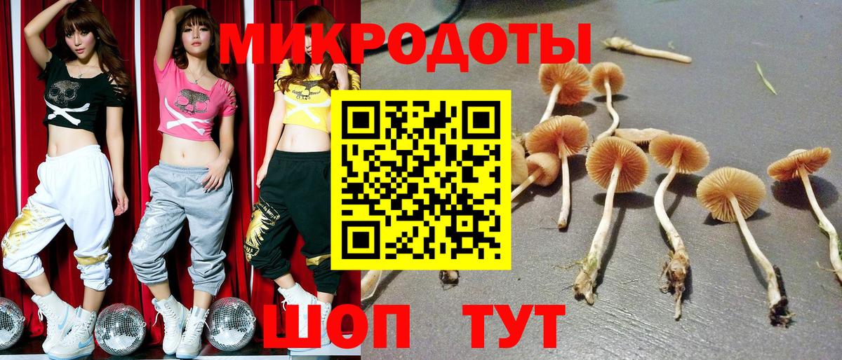 Красногорск  Галлюциногенные грибы MAGIC MUSHROOMS  Вход с VPN 